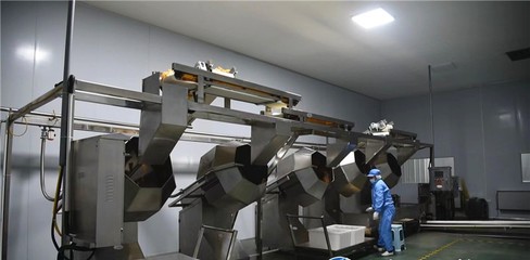 谷城縣石花鎮(zhèn) 培育壯大特色農(nóng)產(chǎn)品深加工 推動(dòng)農(nóng)業(yè)產(chǎn)業(yè)鏈做大做強(qiáng)