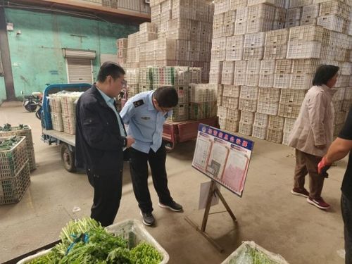 強化源頭管控，守護百姓餐桌——萊陽市開展農產品批發市場專項監督檢查